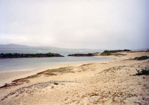 Murrey Beach- Silver beaches of Australia, South Coast 