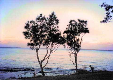  Whispering Willows Javer's Bay, South Coast, Australia